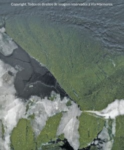 Vitria-Rgia-detalhe-247x300-2