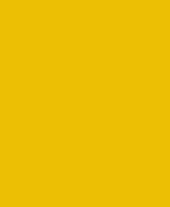 absolute-yellow-247x300-2
