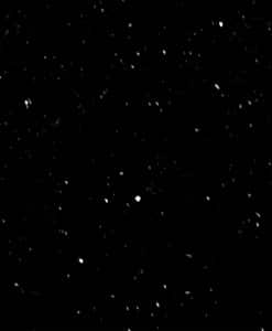 preto-estelar-247x300-2